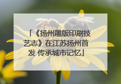 《扬州雕版印刷技艺志》在江苏扬州首发 传承城市记忆