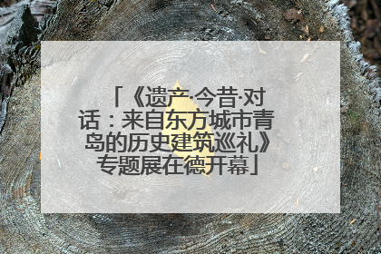 《遗产·今昔·对话：来自东方城市青岛的历史建筑巡礼》专题展在德开幕