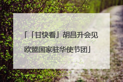 「甘快看」胡昌升会见欧盟国家驻华使节团