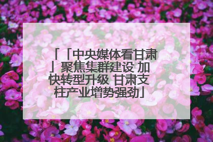 「中央媒体看甘肃」聚焦集群建设 加快转型升级 甘肃支柱产业增势强劲