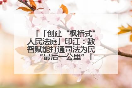 「创建“枫桥式”人民法庭」印江：数智赋能打通司法为民“最后一公里”