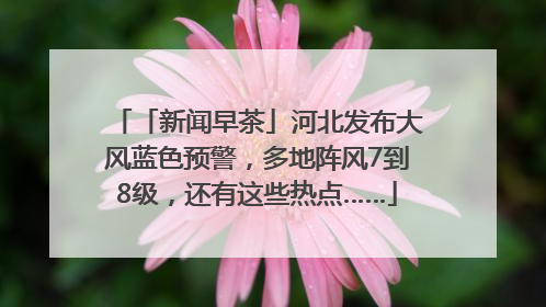 「新闻早茶」河北发布大风蓝色预警，多地阵风7到8级，还有这些热点……