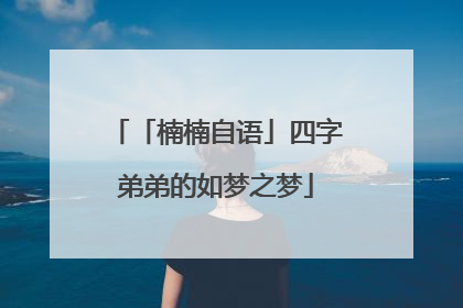 「楠楠自语」四字弟弟的如梦之梦