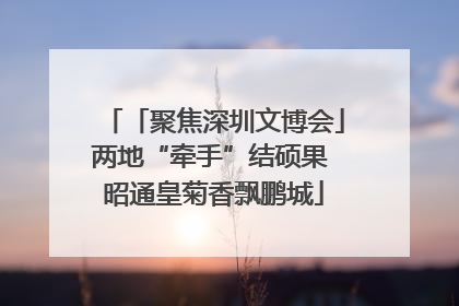「聚焦深圳文博会」两地“牵手”结硕果 昭通皇菊香飘鹏城