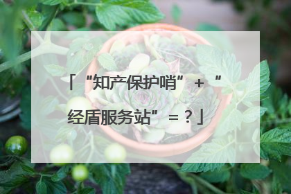 “知产保护哨”+“经盾服务站”=？