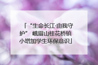 “生命长江·由我守护” 峨眉山桂花桥镇小增加学生环保意识