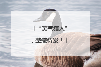 “笑气猎人”，整装待发！