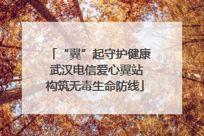 “翼”起守护健康 武汉电信爱心翼站构筑无毒生命防线