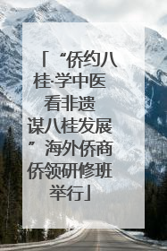 “侨约八桂·学中医 看非遗 谋八桂发展”海外侨商侨领研修班举行