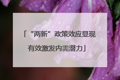 “两新”政策效应显现 有效激发内需潜力