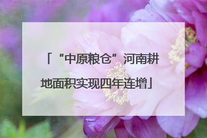 “中原粮仓”河南耕地面积实现四年连增