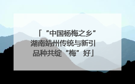 “中国杨梅之乡”湖南靖州传统与新引品种共绽“梅”好