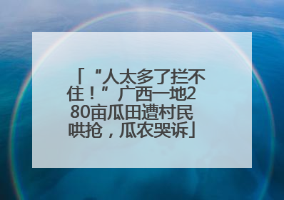 “人太多了拦不住！”广西一地280亩瓜田遭村民哄抢，瓜农哭诉