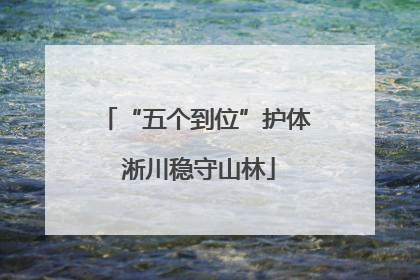 “五个到位”护体 淅川稳守山林