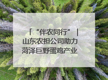 “伴农同行”｜山东农担公司助力菏泽巨野蛋鸡产业高质量发展