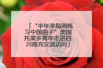 “半年来每周练习中国曲子”美国托莱多青年走进四川南充交流访问