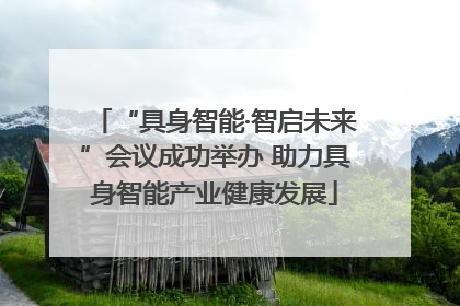 “具身智能·智启未来”会议成功举办 助力具身智能产业健康发展