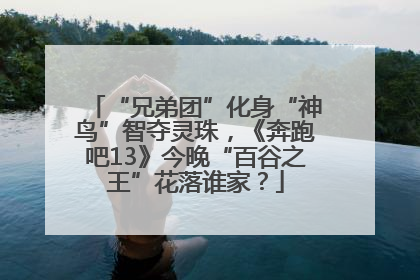 “兄弟团”化身“神鸟”智夺灵珠，《奔跑吧13》今晚“百谷之王”花落谁家？