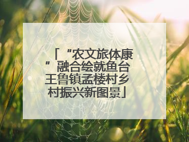 “农文旅体康”融合绘就鱼台王鲁镇孟楼村乡村振兴新图景