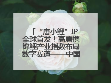 “唐小鲤”IP全球首发！高唐携锦鲤产业指数布局数字赛道——中国高唐锦鲤产业指数暨“唐小鲤”IP全球首发仪式在杭州举行