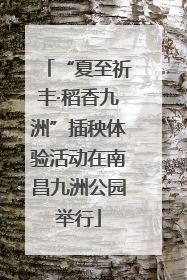 “夏至祈丰·稻香九洲”插秧体验活动在南昌九洲公园举行