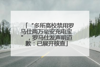 “多所高校禁用罗马仕两万毫安充电宝”，罗马仕发声明道歉：已展开核查