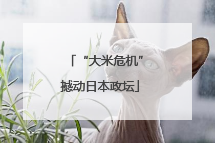 “大米危机”撼动日本政坛