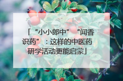 “小小郎中”“闻香识药”：这样的中医药研学活动更能启蒙