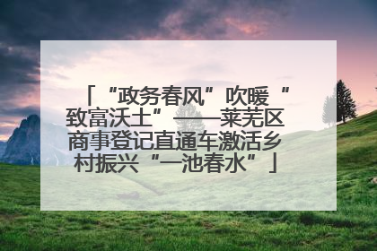 “政务春风”吹暖“致富沃土”——莱芜区商事登记直通车激活乡村振兴“一池春水”