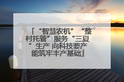 “智慧农机”“整村托管”服务“三夏”生产 向科技要产能筑牢丰产基础