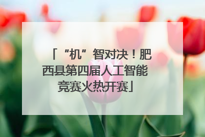 “机”智对决！肥西县第四届人工智能竞赛火热开赛