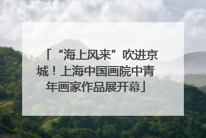 “海上风来”吹进京城！上海中国画院中青年画家作品展开幕