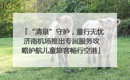 “清泉”守护，童行无忧 济南机场推出专属服务攻略护航儿童旅客畅行空港