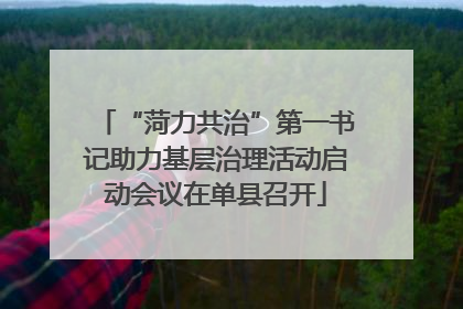 “菏力共治”第一书记助力基层治理活动启动会议在单县召开