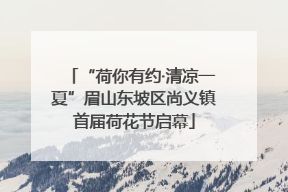 “荷你有约·清凉一夏”眉山东坡区尚义镇首届荷花节启幕