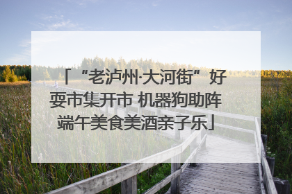 “老泸州·大河街”好耍市集开市 机器狗助阵端午美食美酒亲子乐