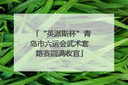 “英派斯杯”青岛市六运会武术套路赛圆满收官