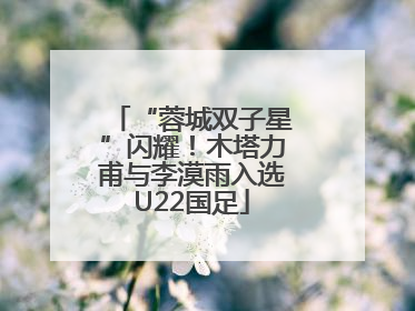 “蓉城双子星”闪耀！木塔力甫与李漠雨入选U22国足