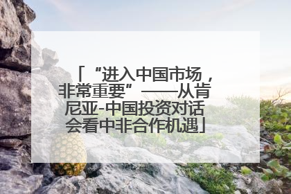 “进入中国市场，非常重要”——从肯尼亚-中国投资对话会看中非合作机遇