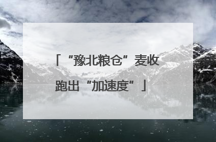 “豫北粮仓”麦收跑出“加速度”