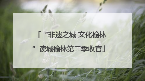 “非遗之城 文化榆林”读城榆林第二季收官