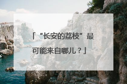 “长安的荔枝”最可能来自哪儿？