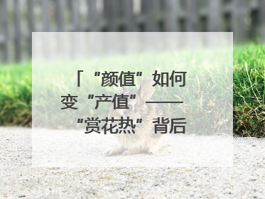 “颜值”如何变“产值”——“赏花热”背后的产业图谱
