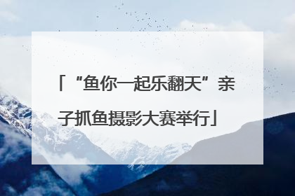 “鱼你一起乐翻天”亲子抓鱼摄影大赛举行