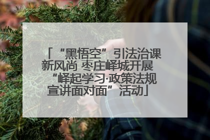 “黑悟空”引法治课新风尚 枣庄峄城开展“峄起学习·政策法规宣讲面对面”活动