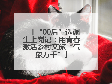 “00后”选调生上岗记：用青春激活乡村文旅“气象万千”
