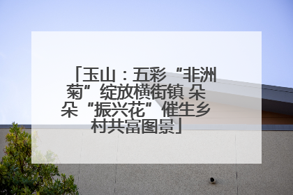 玉山：五彩“非洲菊”绽放横街镇 朵朵“振兴花”催生乡村共富图景