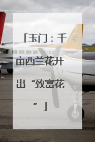 玉门：千亩西兰花开出“致富花”