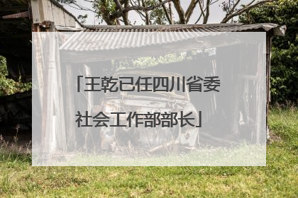 王乾已任四川省委社会工作部部长