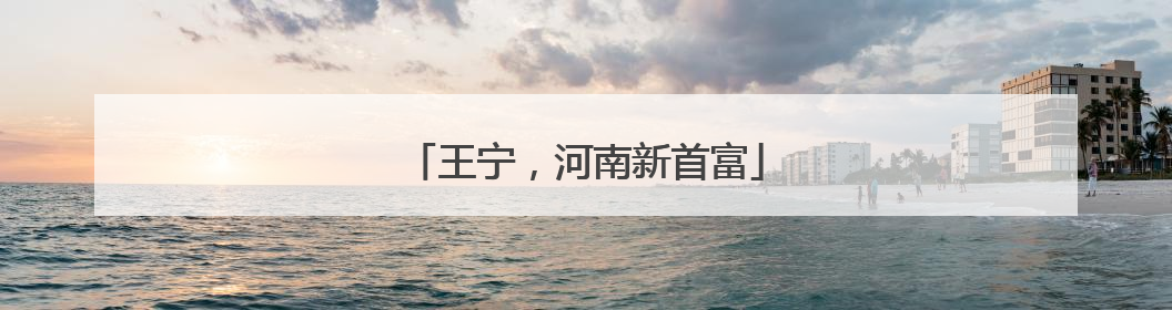 王宁，河南新首富